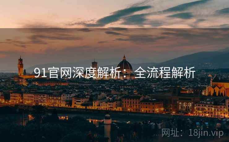 91官网深度解析：全流程解析