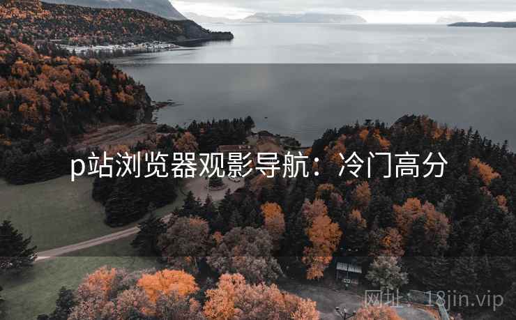 p站浏览器观影导航：冷门高分