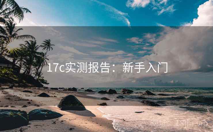 17c实测报告：新手入门