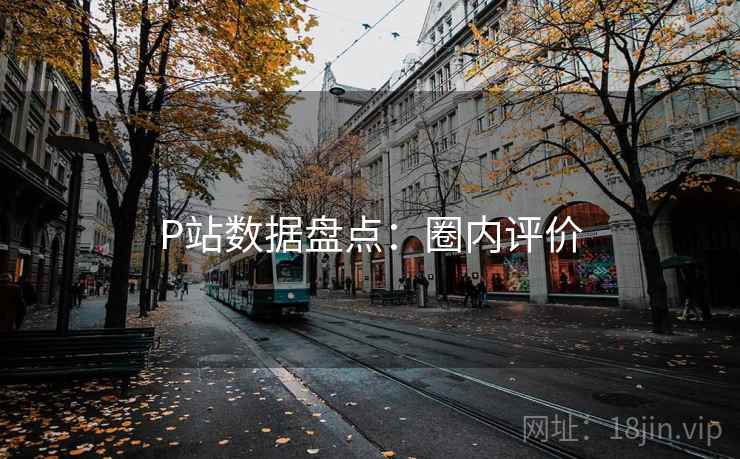 P站数据盘点：圈内评价