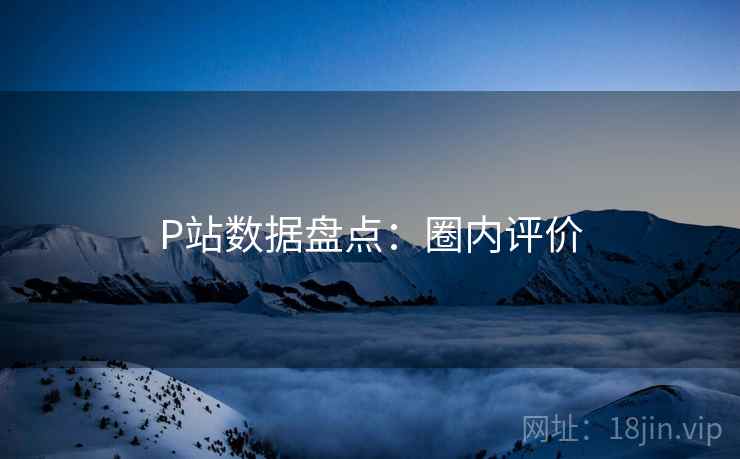 P站数据盘点：圈内评价