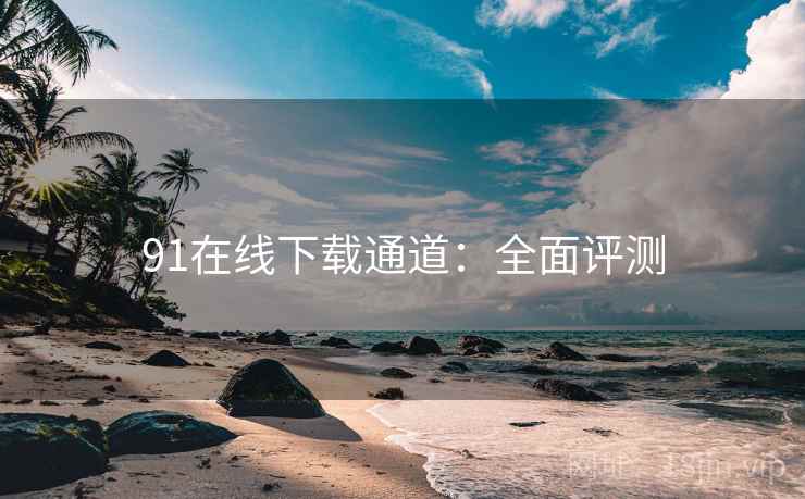 91在线下载通道：全面评测