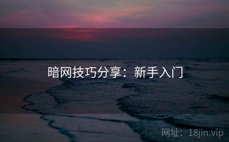 暗网技巧分享：新手入门